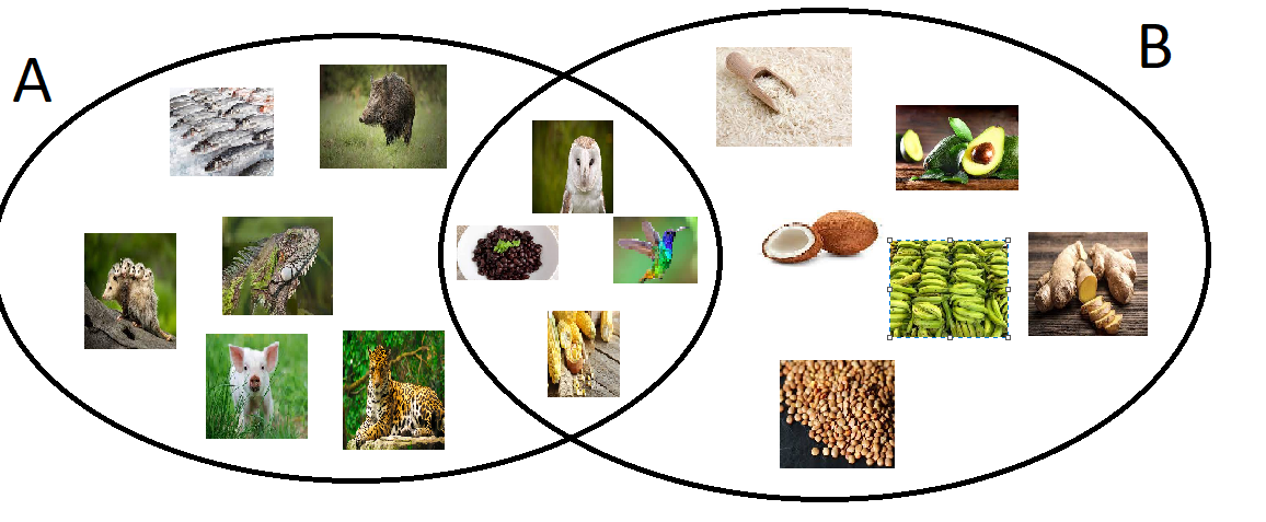 ANIMALES